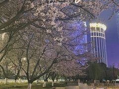 -COMMUNE幻师(花园道店)