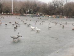 -宗角禄康公园