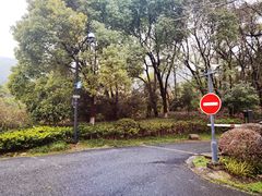 -杭州半山国家森林公园