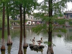 -东莞市可园博物馆