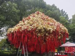 -狼山风景名胜区