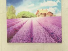 -紫光园·烤鸭·北京菜(劲松店)