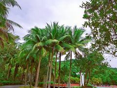 -石梅湾艾美度假酒店