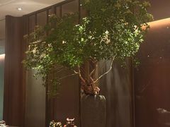 -新荣记(湾仔店)