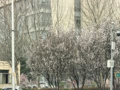 -中关村生命科学园