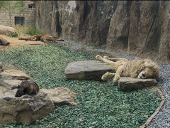 -北京野生动物园