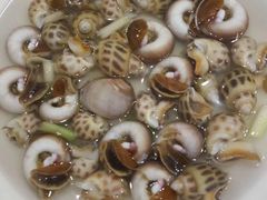 香螺花螺双拼-金海湾海鲜排档(朱家尖店)
