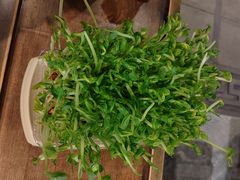 -蜀大侠火锅(春熙路店)