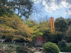 -杭州黄龙洞