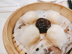 虾饺-稻香酒家·33年老字号·港式粤菜(富邦中心店)