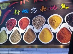 -新概念来凤鱼(璧山店)
