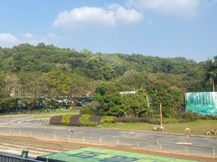 -深圳野生动物园