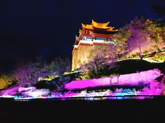 -顺顺小吃(独克宗古城店)