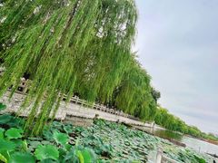 -济南大明湖景区