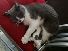 android_upload_pic-MIKAKU(万达广场上海宝山店)