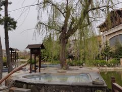 -芭东小镇温泉