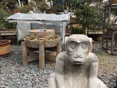 -天怡·鱼工厂(临江店)