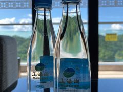 -河源万绿湖美思威尔顿酒店