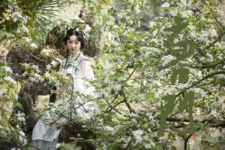-虞美人汉服摄影