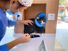 -联合动物医院(光谷诊疗中心)
