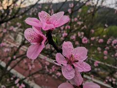 -南京市无想山景区