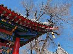 -哈尔滨极乐寺