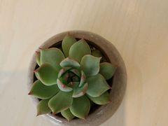 -金乐活美食(中街店)