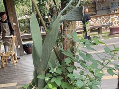 -悦哉·派对·草坪婚礼·围炉煮茶(三圣乡店)