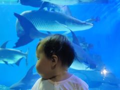 -多彩贵州城极地海洋世界