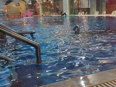 -ABC Swim亲子游泳俱乐部(河西店)