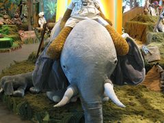 -济州岛泰迪熊博物馆