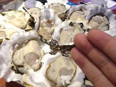 -千岛蚝高压锅生蚝·人参火锅(白云万达店)