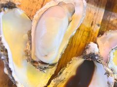 -土蚝·高压锅生蚝(百姓美食街店)