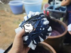 -大理洱海