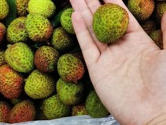 -红星农博物流中心