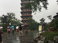 -冶春茶社(太和广场店)