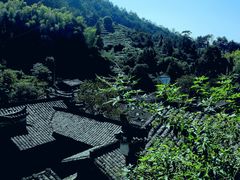 -杨家堂村