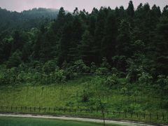 -武陵山森林公园