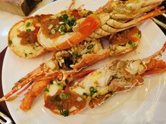 -Tivano意大利餐厅(成都居舍酒店)