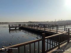 -天津东丽湖风景区