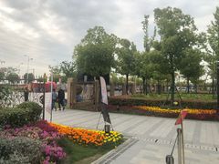 -菊园百果园