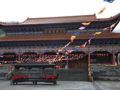 -大围山国家森林公园