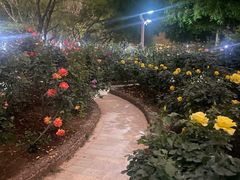 -人民公园(罗湖区)