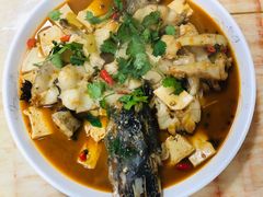 红烧狗鱼-煲来饱去冷水鱼