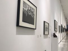 -四川美术学院美术馆