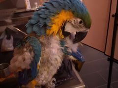 -成都浩海立方海洋公园