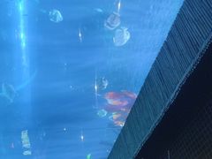 -华夏文旅西安度假区