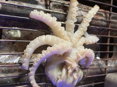 -质烤烤物·活烤海鲜(质烤总店)