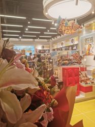 -乐高授权专卖店(中关村领展店)