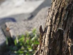 -七星潭蓝天广场